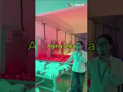 LED মেশি স্ক্রিন
