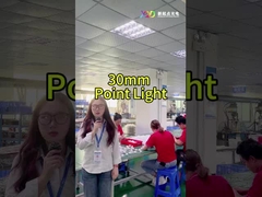 ল্যান্ডস্কেপ ফুল কালার LED পয়েন্ট লাইট Smd5050 IP67 24v ছুটির আলোর জন্য