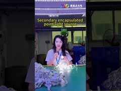 আউটডোর কাস্টম LED পয়েন্ট লাইট